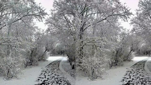 A walk in the snow filmed with the Weeview SID 3D VR  camera