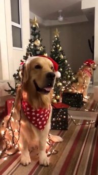 Посмеемся (250)