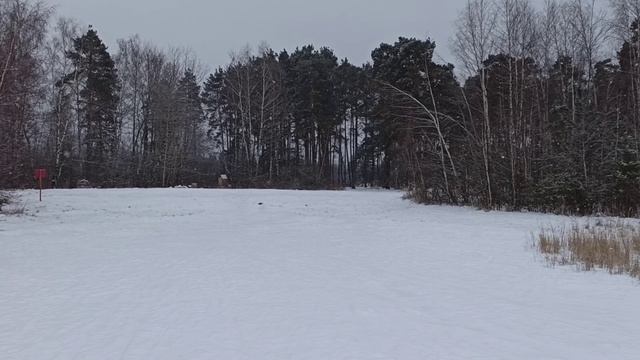 ЛЕСНОЙ КАТОК