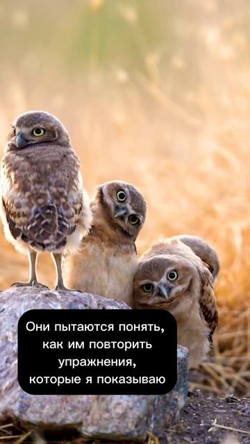 ☺️ логоюмор