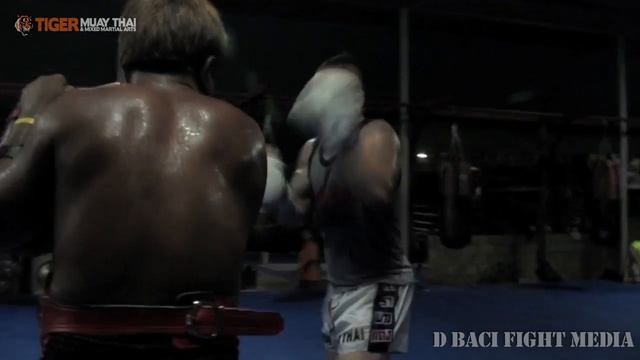 Enae Volare Mezzo: Tiger Muay Thai & MMA Training Camp, Phuket, Thailand