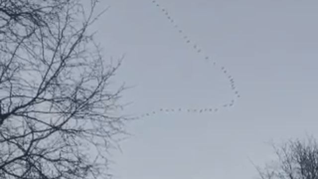 Мамо, вiчна i кохана 2