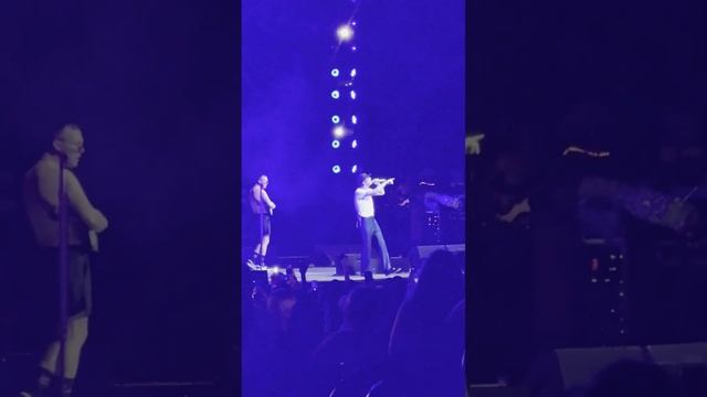 Cage The Elephant - Telescope - 2024 July 5th