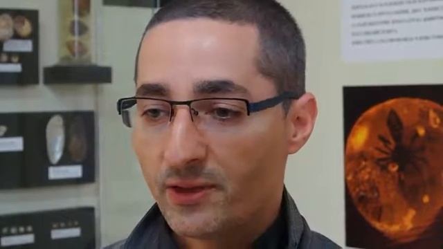 Вкаменелост на праисторически кит беше открита край Варна