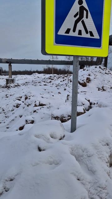 На Новом Московском проспекте на перекрёстке с Карпогорской инновационный пешеходный переход