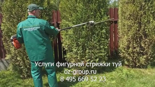 Услуги фигурной стрижки туй в саду. Выезд Агрономов по Москве и области. Звоните и заказывайте!