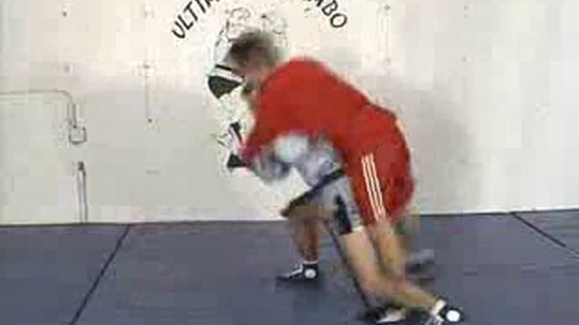 SAMBO Techniques