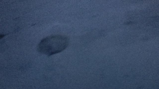 Обнаружил дыру на Центральном пляже Академгородка. Люди есть и они будут есть! 😃
