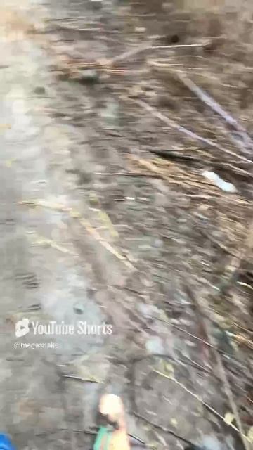 Поворот не туда :)