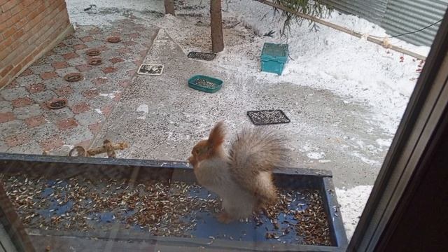 холодно,но голодными никто не будет