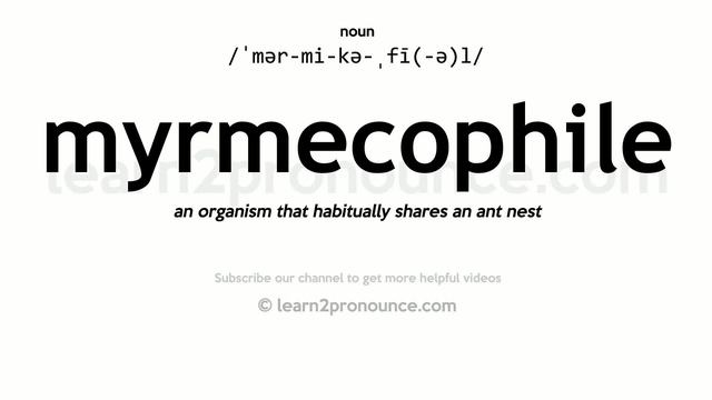 Pronunciation of Myrmecophile | Definition of Myrmecophile