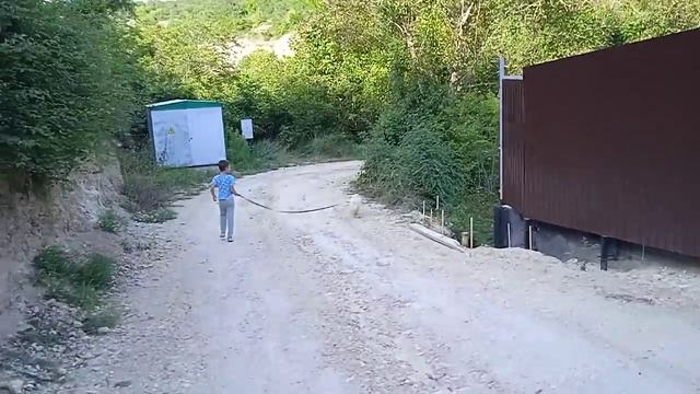 Как гулять с собакой ребёнку? Часть 2
