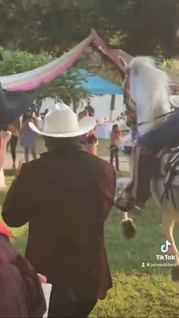 Mi última Caravana - Jaime El K-lero 🇸🇻