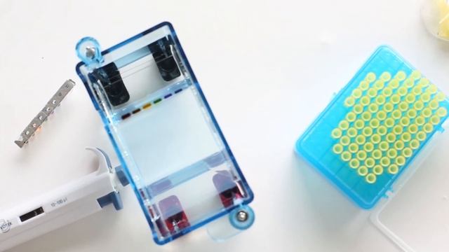 Performing Agarose Gel Electrophoresis - Edvotek Video Tutorial