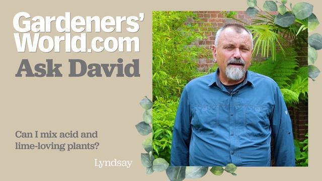 Ask David - Episode 16