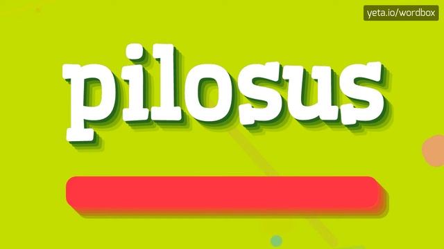 PILOSUS - HOW TO PRONOUNCE IT!?