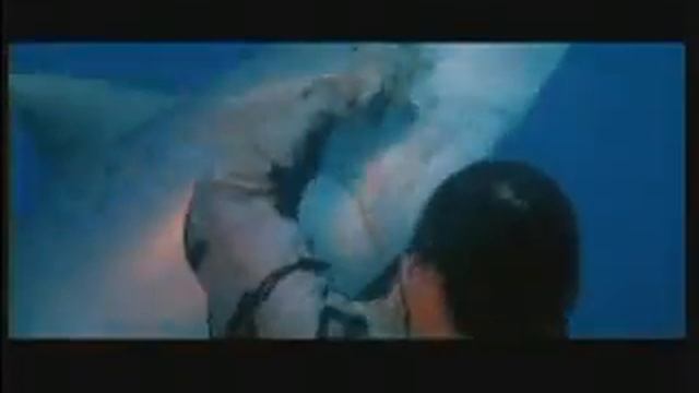 Zombie Vs. Shark
