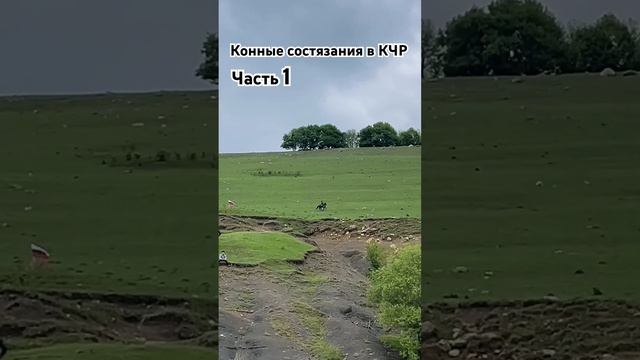 День возрождения карачаевского народа, праздник в Зеленчукском р-не #кчр #къ #лошади #horse #кавказ
