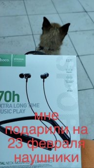 с 23 февраля пацаны