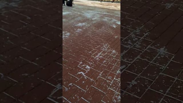 1000004475.mp4