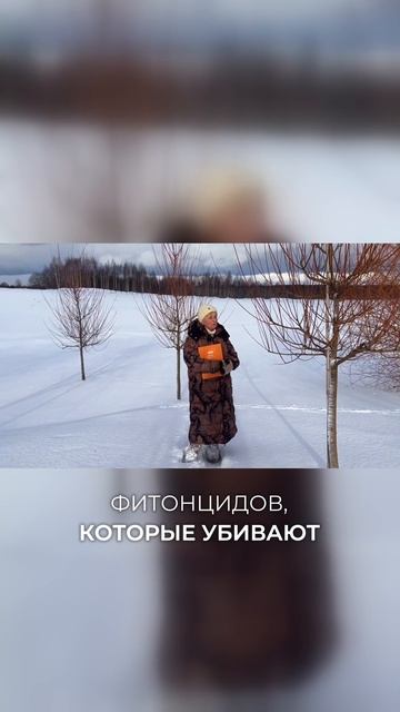 Необычные свойства Ивы Белой - как она улучшает воздух #ивыивы #ива #деревья #сад #мойсад