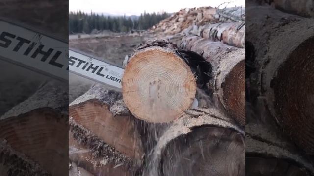 Заточной станок для цепной пилы