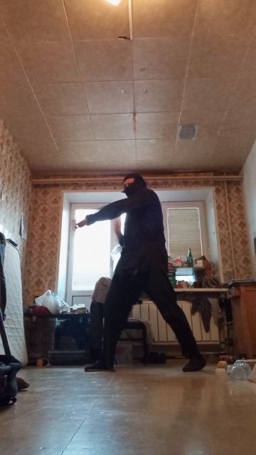 Крайне Северный Ниндзя: Тенный Трубочист (19.2.2025) Very Nordic Ninja: Shadest Chimney Sweep #Kick