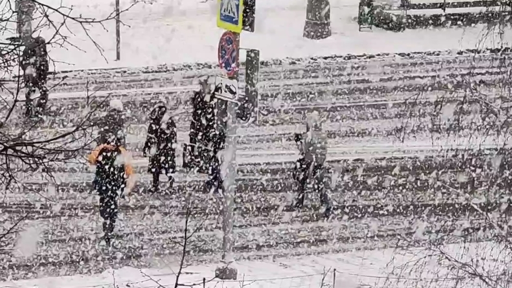СНЕГОПАД В МОСКВЕ.