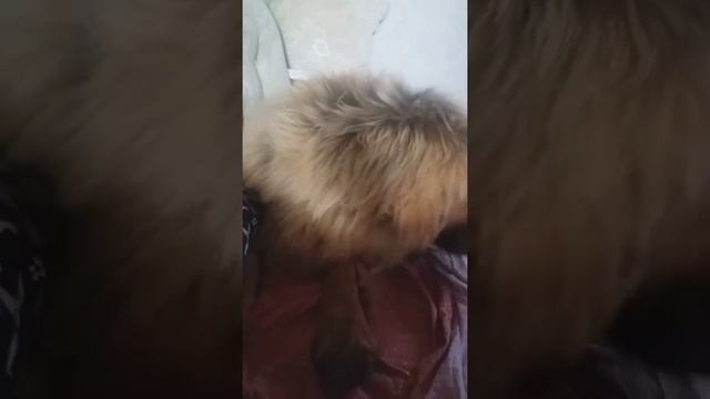 Наглость , второе счастье........