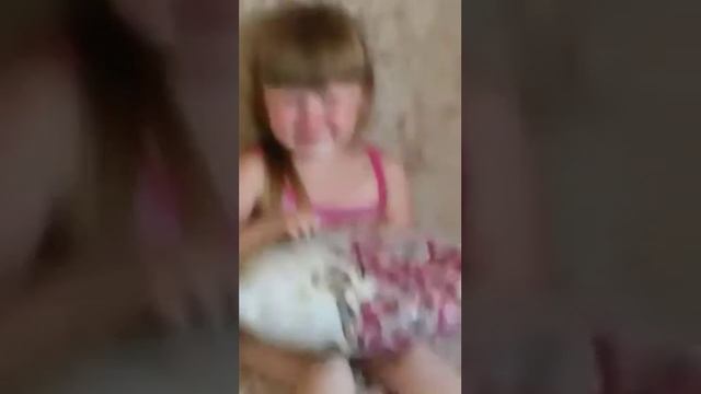 Дети. Эмоции зашкаливают