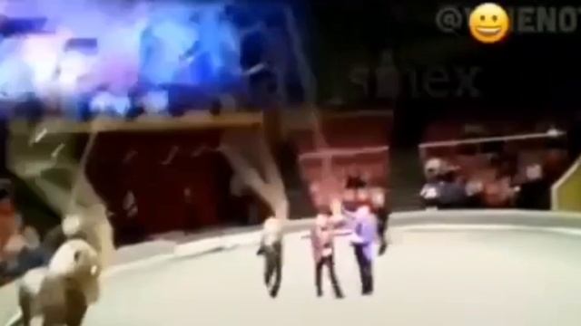 Сходила с пьяным мужем в цирк. Позор, приколы, юмор