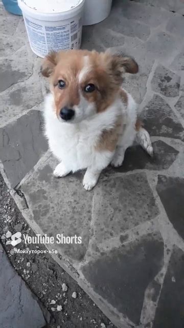 ТЫ ЧЕЙ ТАКОЙ???Shorts