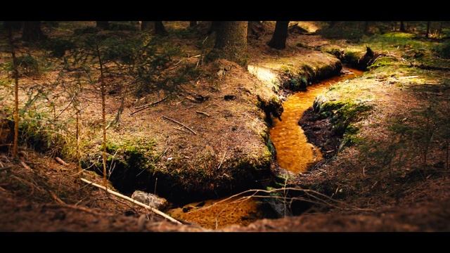 Canon EOS 70D - RAW 4K 14bit 50fps - Magic Lantern - sd uhs hack (card overclocking)