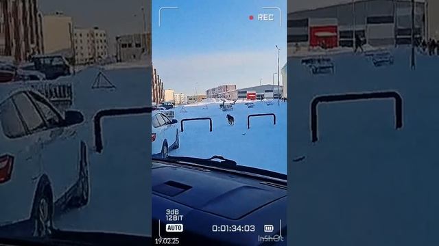 19.02.25 Коротчаево