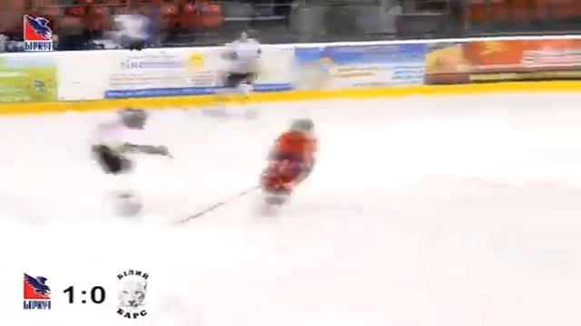 Беркут  Белый Барс 18.02.2013