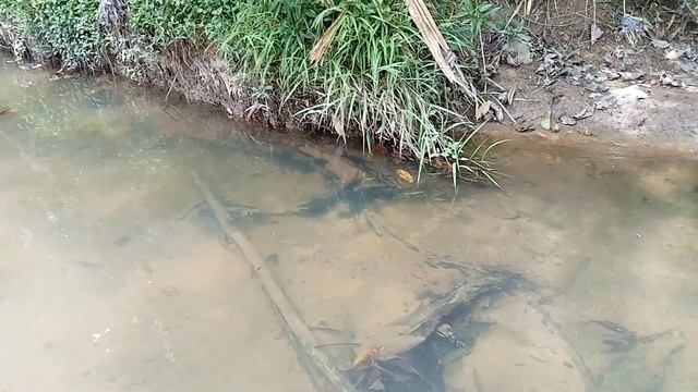 /storage/3879-3849/DCIM/Camera/VID20240423123147.mp4