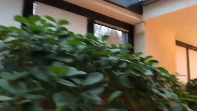 Шторы плиссе на вертикальных окнах
