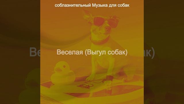Настроения (Выгул собак)