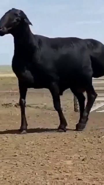 😍😍😍😍😍😍😍