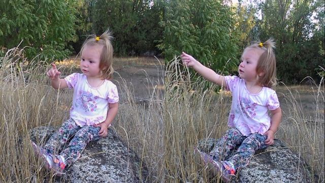 Плейлист "Цветники ароматные" 69 | #цветы #цветочки #цветники #цветник #клумбы #клумба #растения