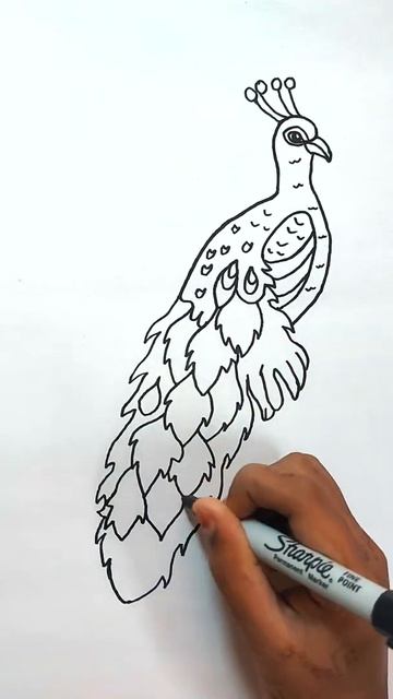 How to Draw Peacock Easy 🦚  Bird Drawing 🦚 Yaazhini Fine Art #shorts