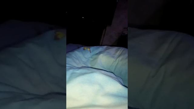Да галлы швов ОАО Сомово овала