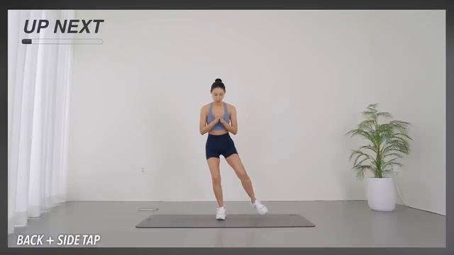 🔥Standing Full Body Fat Burn Workout🔥 30 MIN Home Workout - No Jumping
