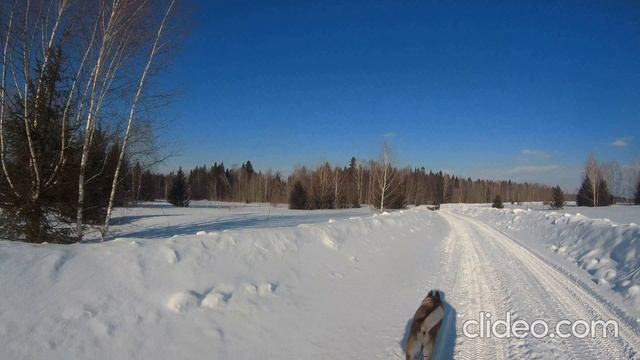 Мороз и солнце, день чудесный!