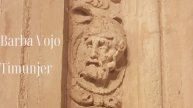 Барба Војо - Тимуњер