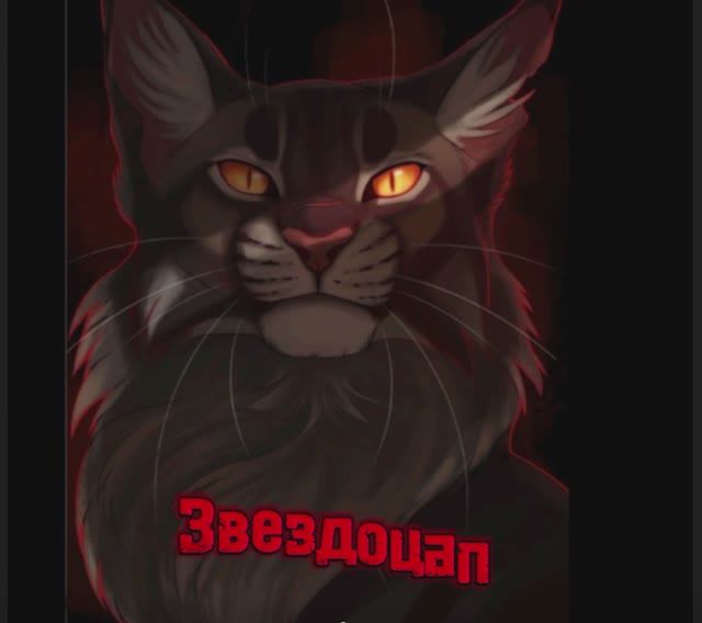 Коты воители/ Эдит
