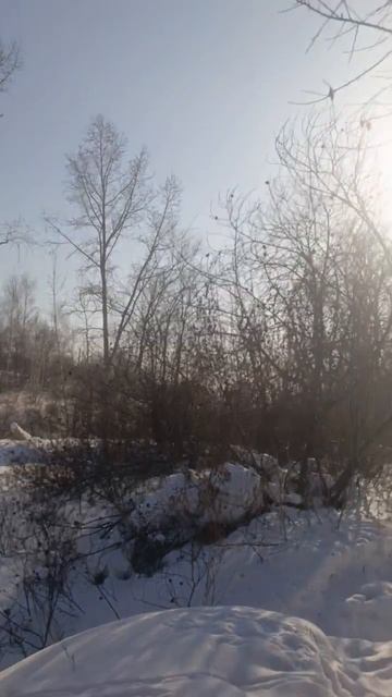 жара