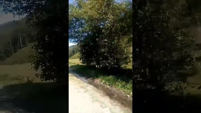 Березники,11/09/19 року