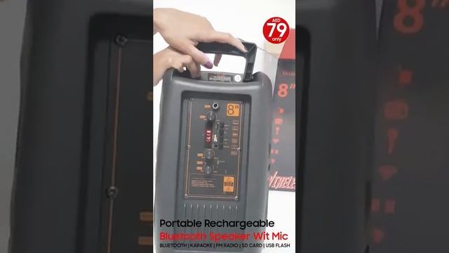 KTS 1176 bluetooth speaker 8 inches