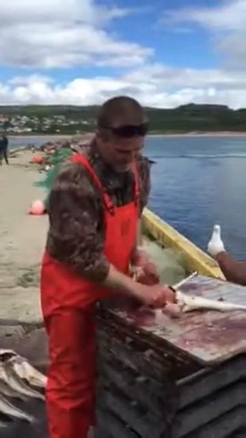 Cleaning codfish